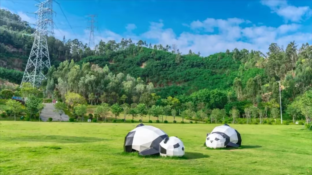 春日之約，享受自然之美